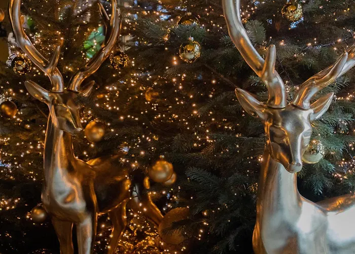 Hôtel LÉONOR the place to live